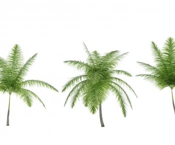 现代热带植物树-ID:976040422