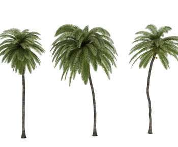 现代热带植物树-ID:191915997