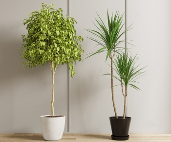 Modern Ground Green Plant Potted Plants-ID:133219967