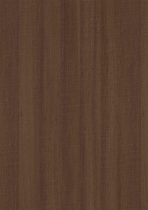 ModernWood Texture