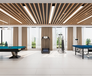 Modern Billiards Room-ID:523569685