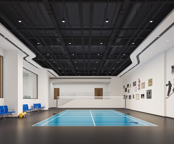 Modern Indoor Badminton Court-ID:599006896