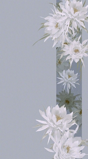 植物花朵装饰画-ID:5654940