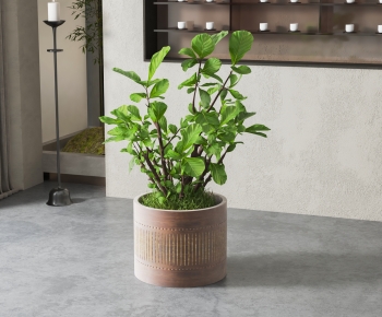 Modern Ground Green Plant Potted Plants-ID:603507046