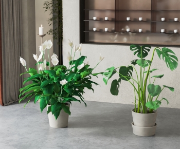 Modern Ground Green Plant Potted Plants-ID:778496032