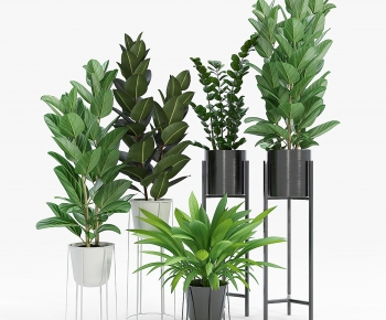 Modern Potted Green Plant-ID:844151977