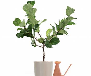 Modern Potted Green Plant-ID:322253944