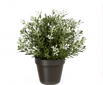 Modern Potted Green Plant-ID:485374932