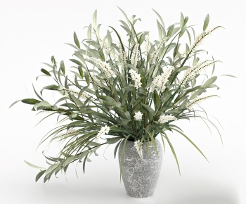 Modern Potted Green Plant-ID:202719937