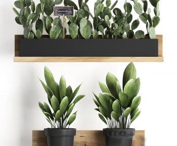 Modern Potted Green Plant-ID:397913939