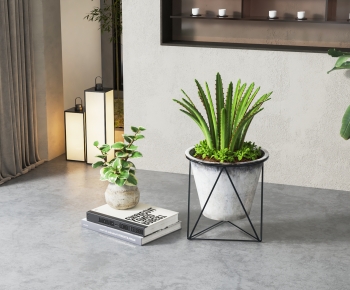 Modern Potted Green Plant-ID:414661887