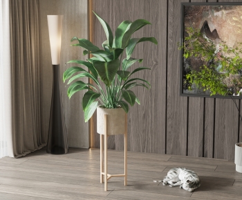 Modern Potted Green Plant-ID:559907915