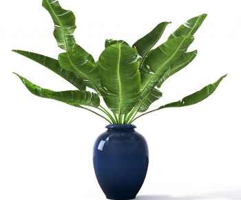 Modern Potted Green Plant-ID:871213919