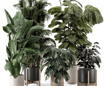 Modern Potted Green Plant-ID:219258075