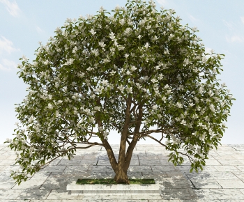 中式大树开花植物-ID:138571023