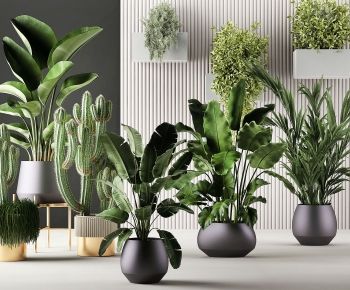 Modern Ground Green Plant Potted Plants-ID:190023907