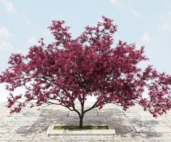 Chinese Style Tree-ID:757319957
