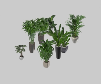 Modern Ground Green Plant Potted Plants-ID:263217934