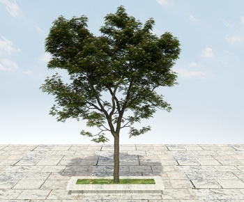 Modern Tree-ID:398889063