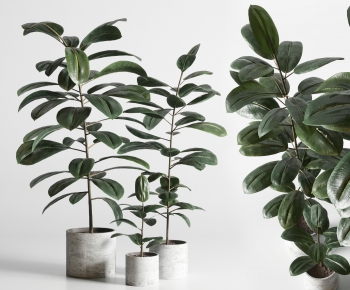 Modern Ground Green Plant Potted Plants-ID:735779051