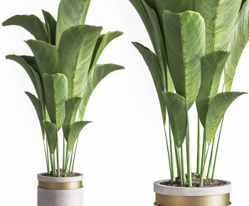Modern Ground Green Plant Potted Plants-ID:997066025