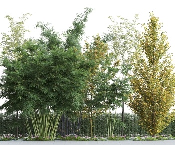 现代竹子 绿植灌木3D模型