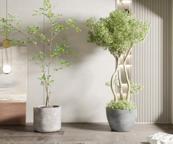 Modern Ground Green Plant Potted Plants-ID:741864927