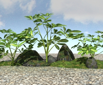 Modern Plant Landscaping-ID:121817112