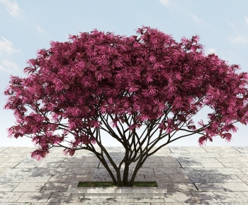 中式大树开花植物-ID:856081962