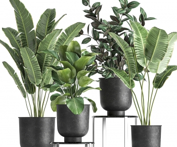 Modern Ground Green Plant Potted Plants-ID:914419892