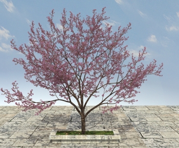 Modern Tree-ID:494581949