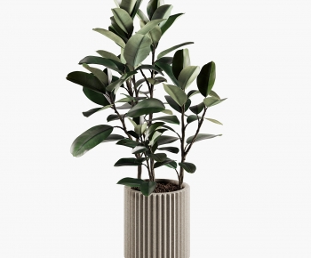 Modern Ground Green Plant Potted Plants-ID:563659915
