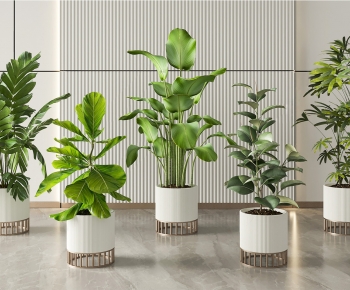 Modern Ground Green Plant Potted Plants-ID:634887936