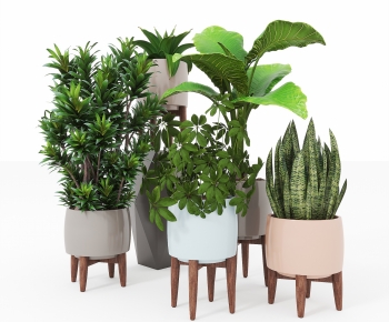 Modern Ground Green Plant Potted Plants-ID:943077098
