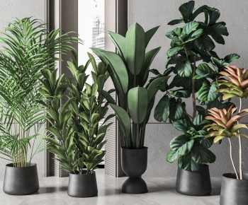 Modern Ground Green Plant Potted Plants-ID:661871919