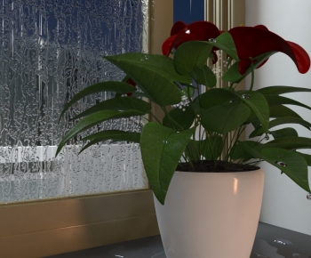 Modern Potted Green Plant-ID:969475034