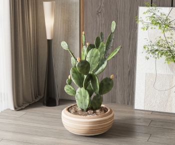 Modern Potted Green Plant-ID:300359014