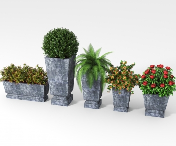 Modern Potted Green Plant-ID:493469003