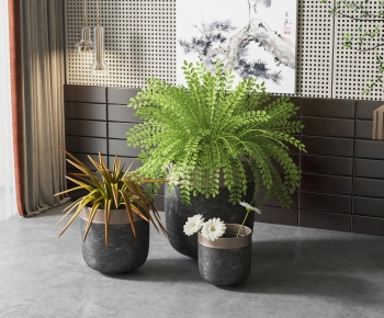 Modern Ground Green Plant Potted Plants-ID:512350086
