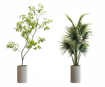 Modern Ground Green Plant Potted Plants-ID:875150929