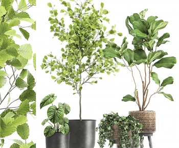 Modern Ground Green Plant Potted Plants-ID:838776117