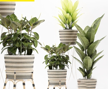 Modern Ground Green Plant Potted Plants-ID:813498025