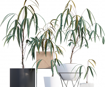 Modern Ground Green Plant Potted Plants-ID:328943976