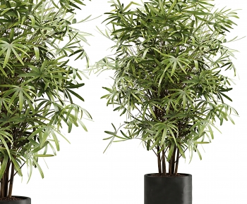 Modern Ground Green Plant Potted Plants-ID:208586933