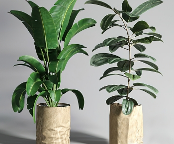 Modern Ground Green Plant Potted Plants-ID:612457049