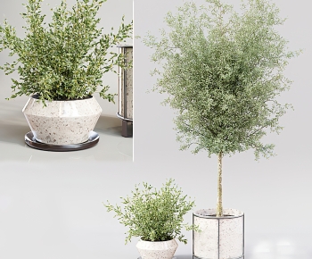 Modern Ground Green Plant Potted Plants-ID:744998937