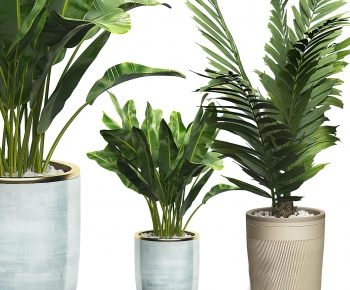 Modern Potted Green Plant-ID:860946891