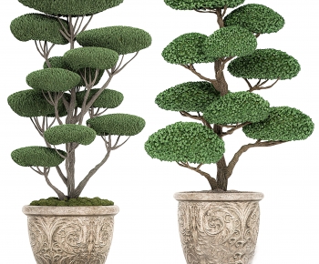 New Chinese Style Desktop Plant-ID:906128883