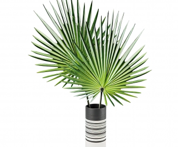 Modern Potted Green Plant-ID:459217075
