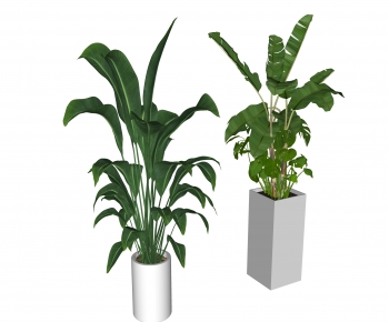 Modern Ground Green Plant Potted Plants-ID:909061915